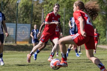 Bild 309 - wBJ Hamburger SV - Hertha BSC : Ergebnis: 5:2